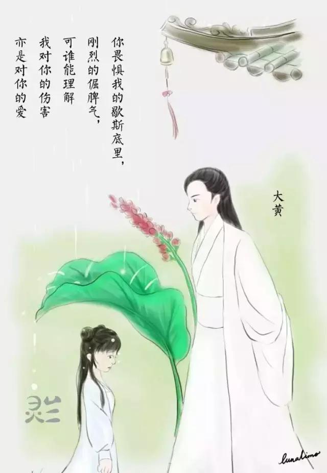 你的心安，是因为我的陪伴(美哭了的图画版中药情书)