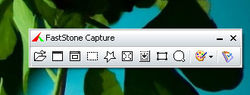 Faststone Capture界面截图
